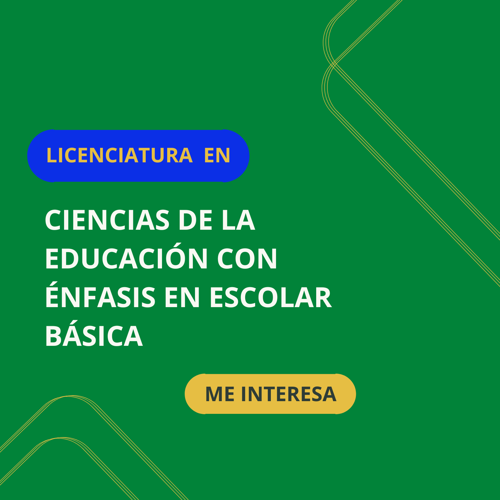 ce escolar basica