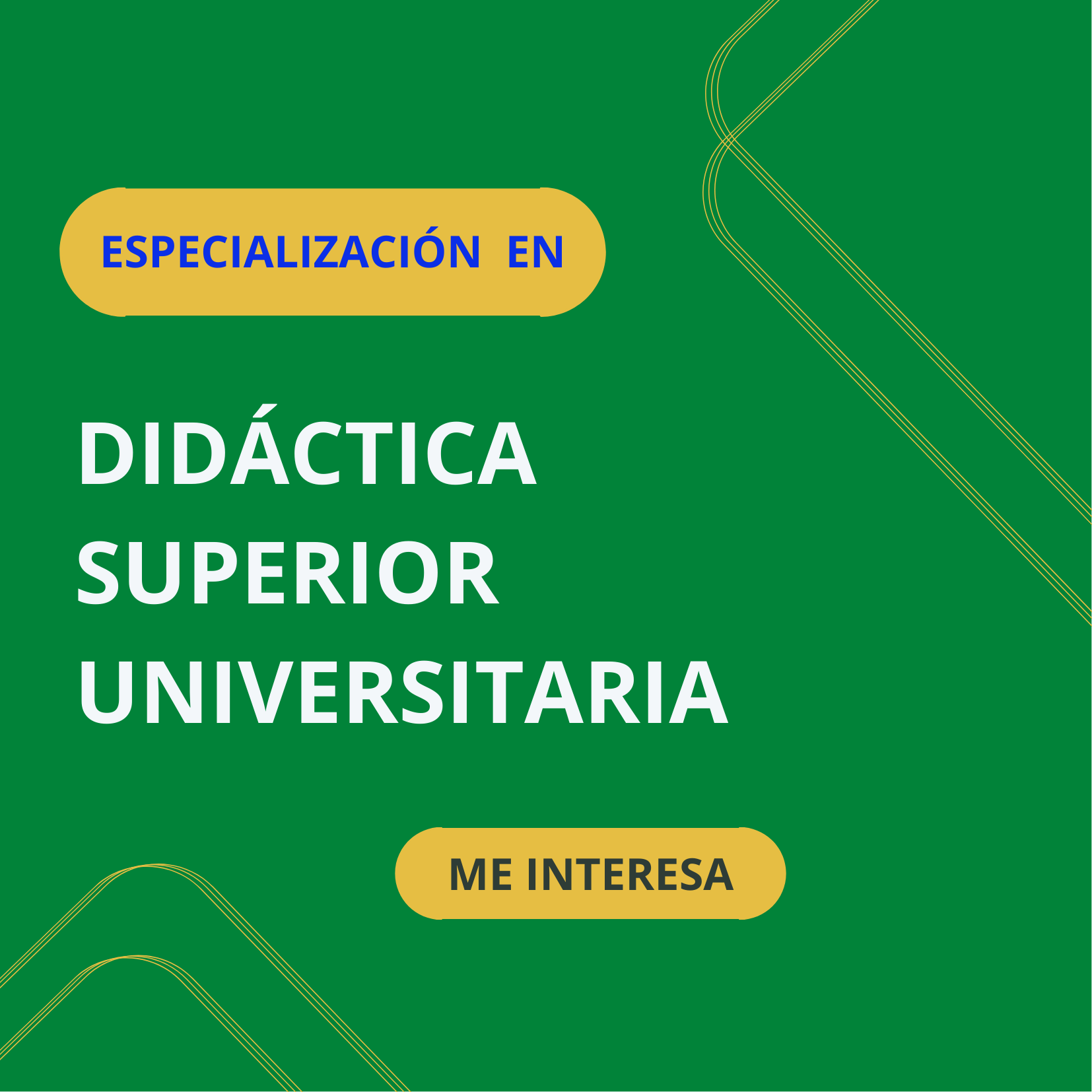 didactica universitaria