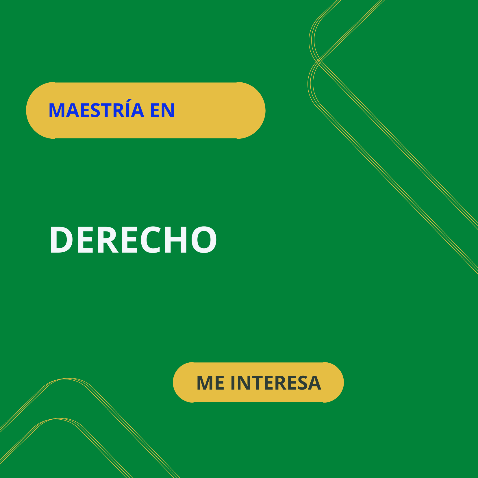 maestria derecho